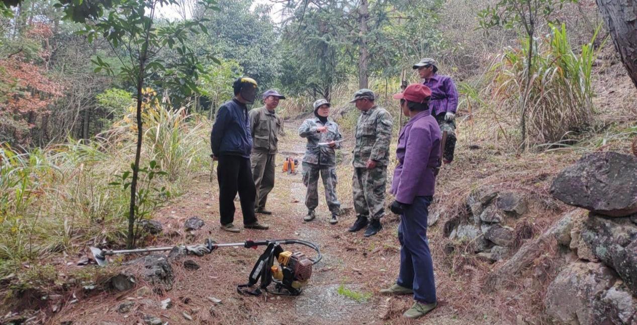 歙縣女護林員羅麗娟：七股尖的「綠色守護者」