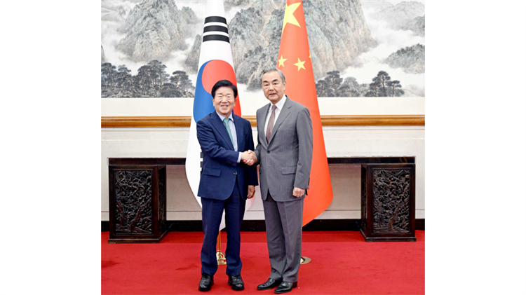 王毅會見韓國總統特使：中韓應共同捍衛二戰勝利成果
