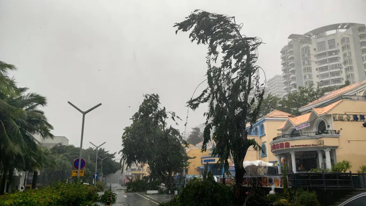 海南多地被「吹停」！颱風「劍魚」有多兇悍？