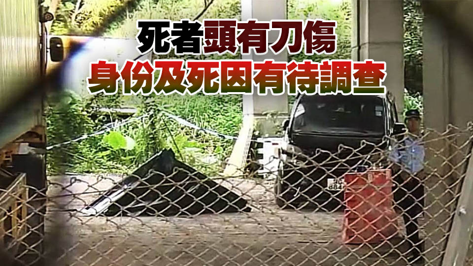 屯門男子浴血伏屍橋底 警方改列謀殺案