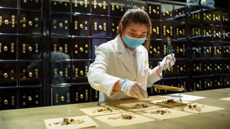 跨界別中醫藥聯席會議促請特首關注中醫轉介權問題