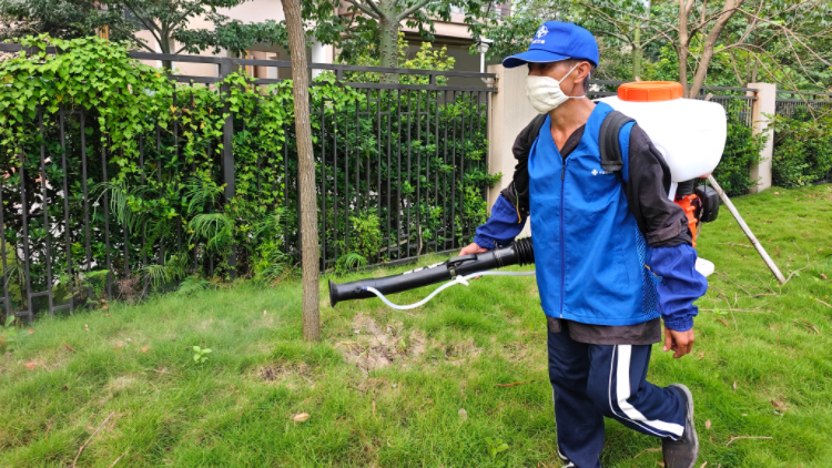 中交二航局東莞除蚊行動 央企工程兼顧民生獲贊