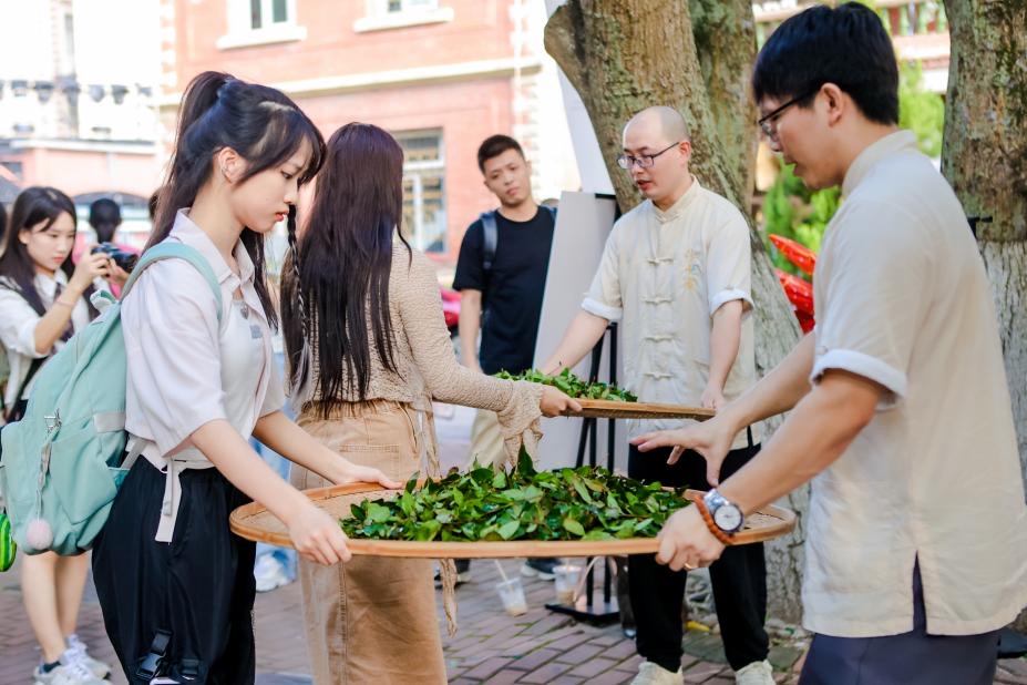 不忘學茶初心 堅守茶人匠心——茶師吳晟