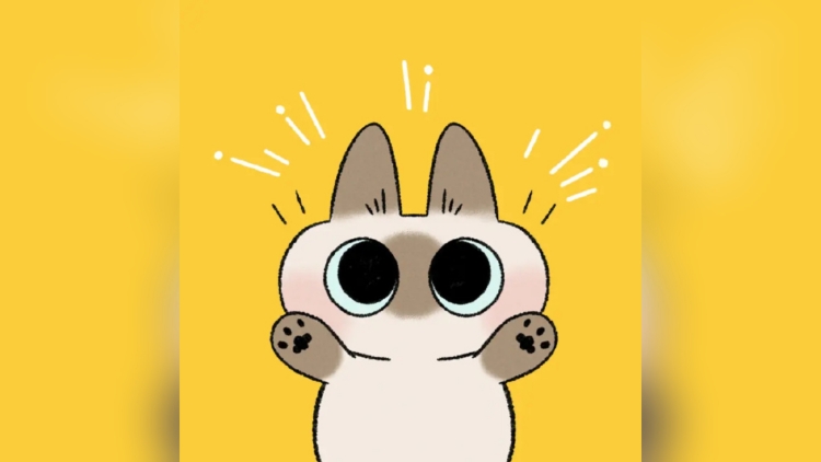 網紅漫畫貓形象「小豆泥」原型去世