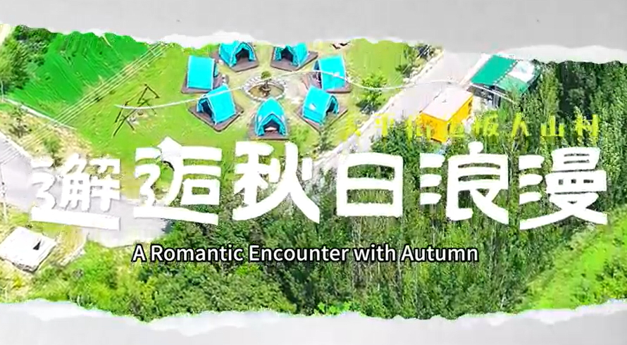 【視聽山東】邂逅秋日浪漫