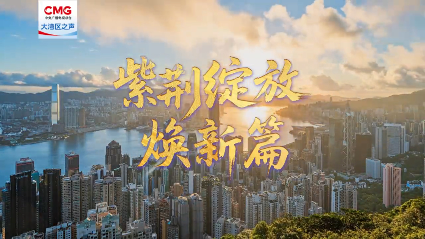 有片丨煥新出彩 香港奮進前行！《紫荊綻放煥新篇》即將上線