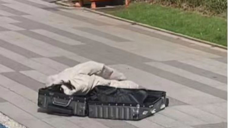 廣州女子43樓拋下行李箱，刑拘！