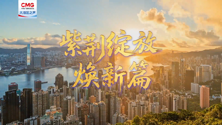 有片丨紫荊綻放煥新篇 | 築牢國安長城