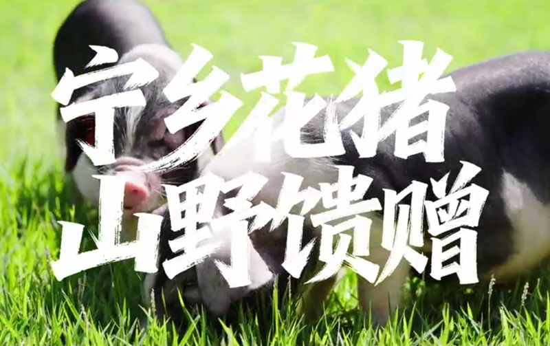 快樂長沙 與寧鄉約 |山川風流，歲月的味道