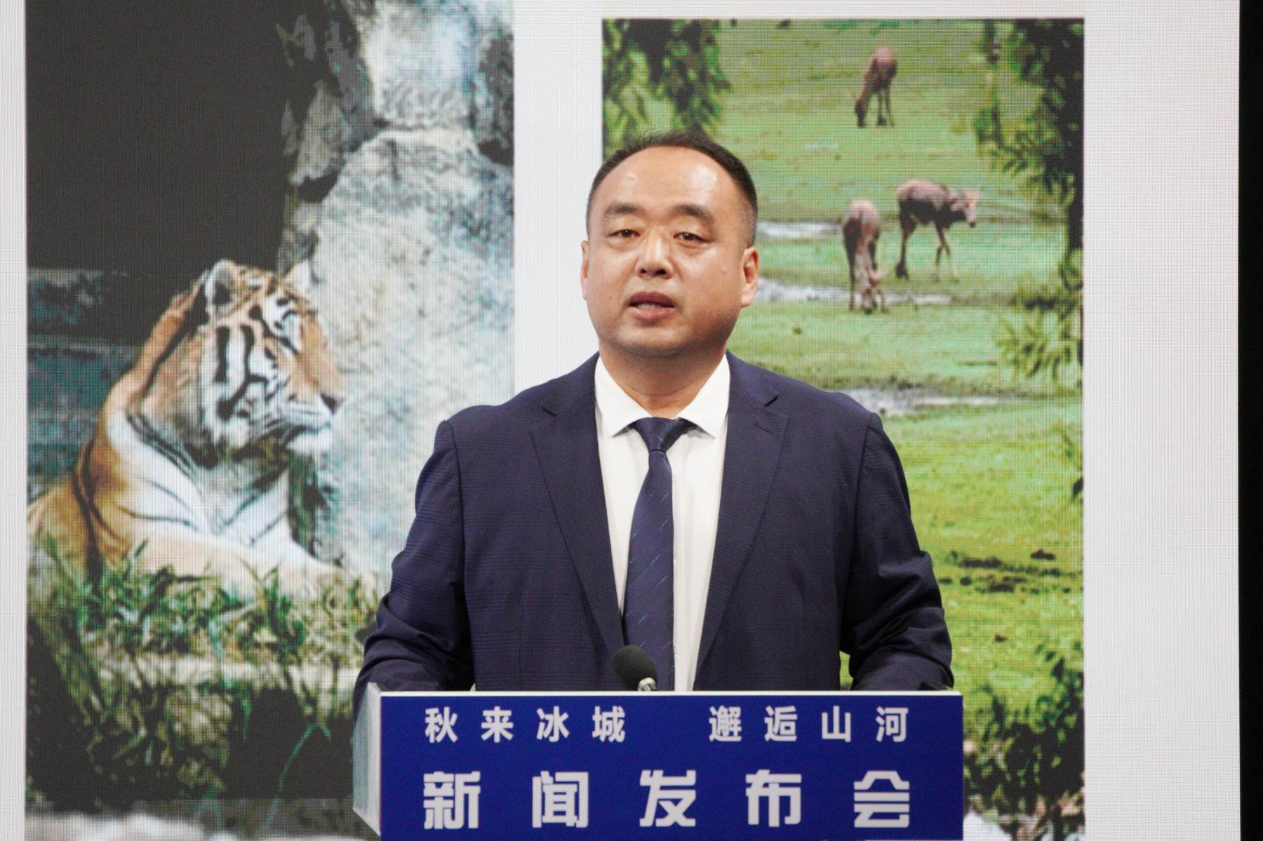 哈市阿城區：漫野紅葉配金源文化 誠迎遊客解鎖多重秋日樂趣