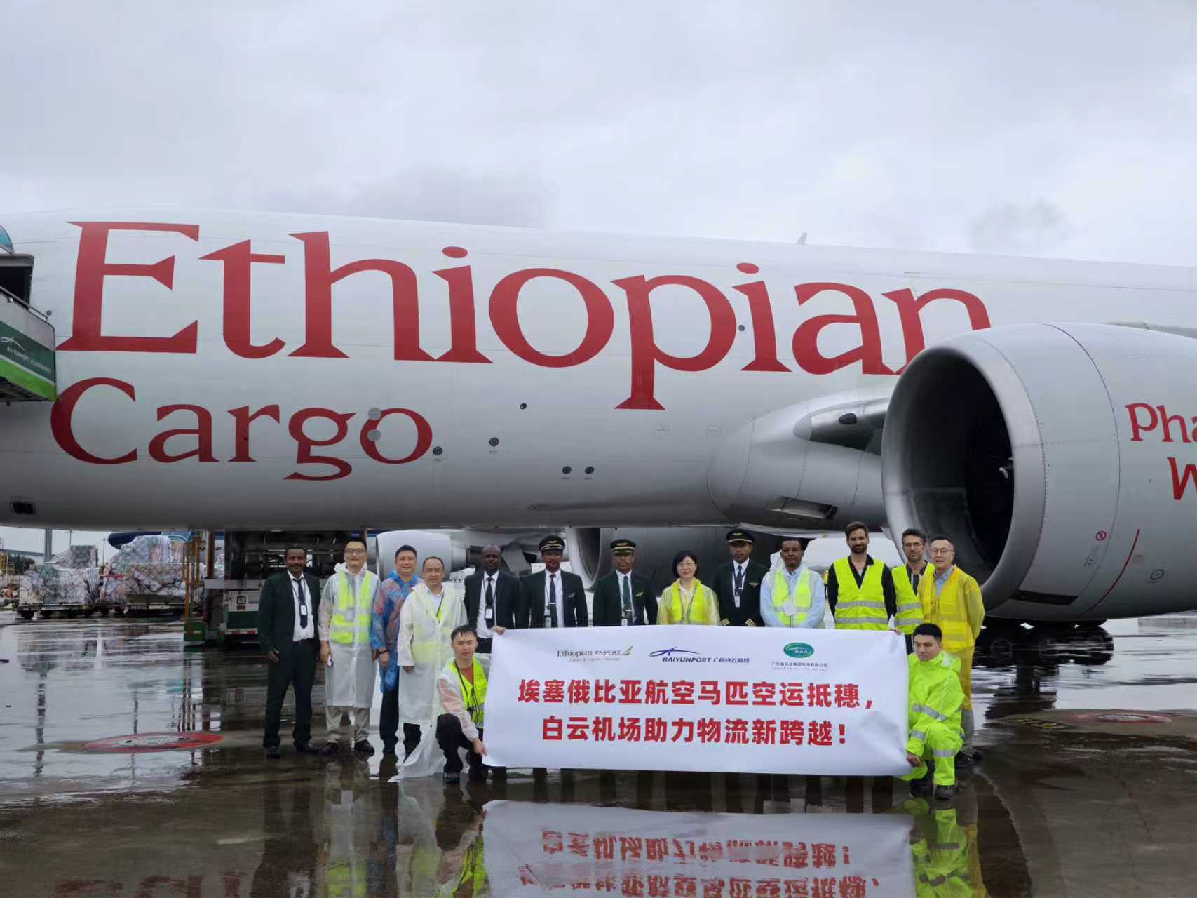 有片︱白雲機場助力埃塞俄比亞航空成功完成馬匹運輸