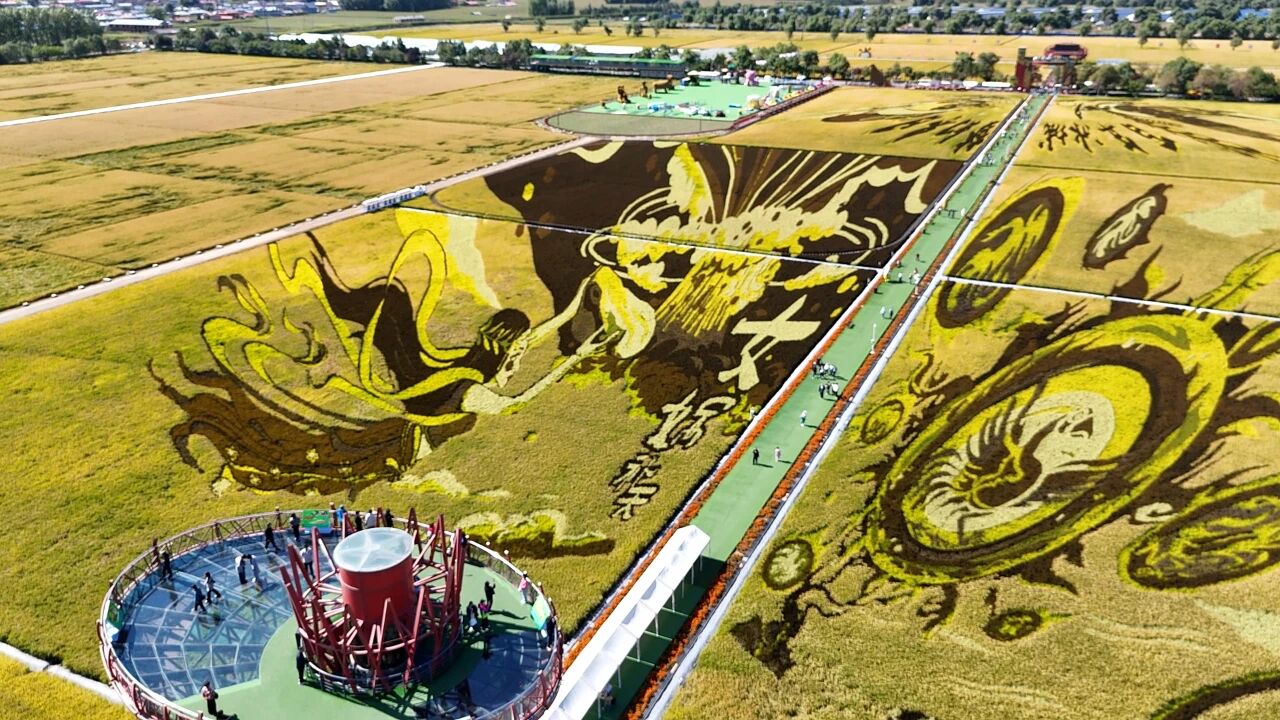 黑龍江豐收節玩法大解鎖！從鮮農藝街到稻田畫，這份攻略請收好