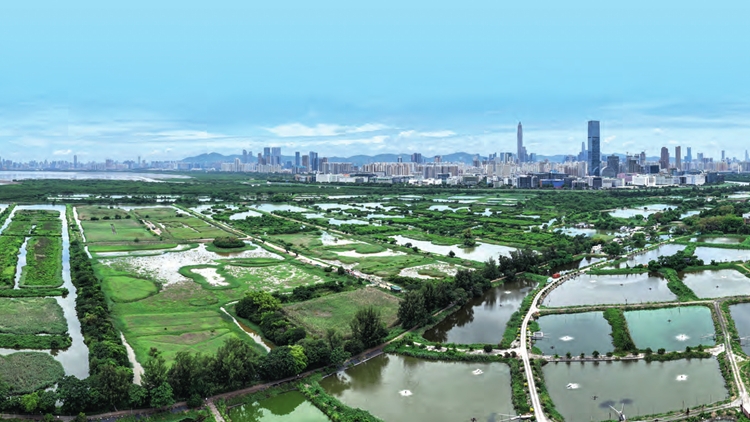 【熱門話題】提速北都發展 為港注新動能