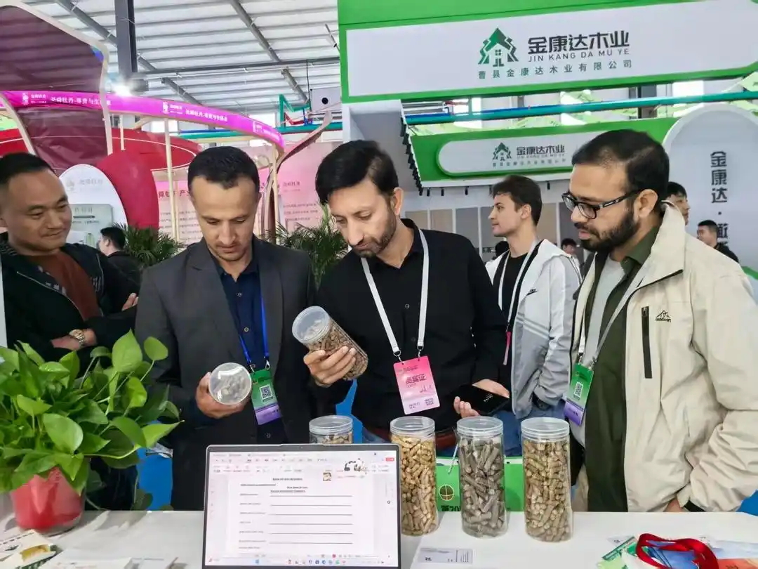 千億產值、遠銷百國：菏澤林業為什麼能成為全國行業「風向標」？