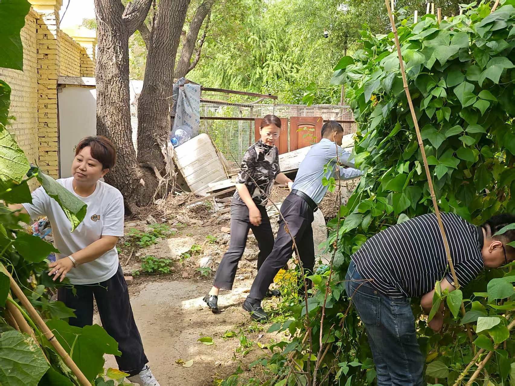 哈市香坊區：治違清亂出實招 文政家園展新貌