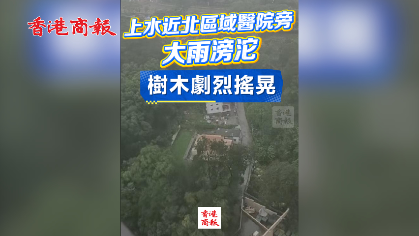 有片丨上水近北區醫院旁大雨滂沱 樹木劇烈搖晃