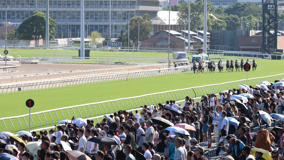 國慶賽馬日丁財兩旺 1.3萬旅客進場創新高 投注額逾15.6億