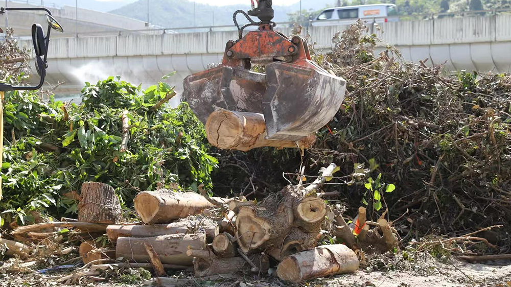 環保署：回收颱風塌樹 轉化為再生產品