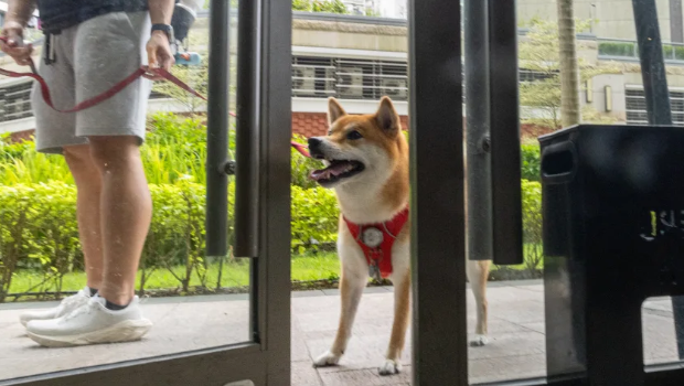 【參政議政】「人寵共融」須平衡社會多元需求