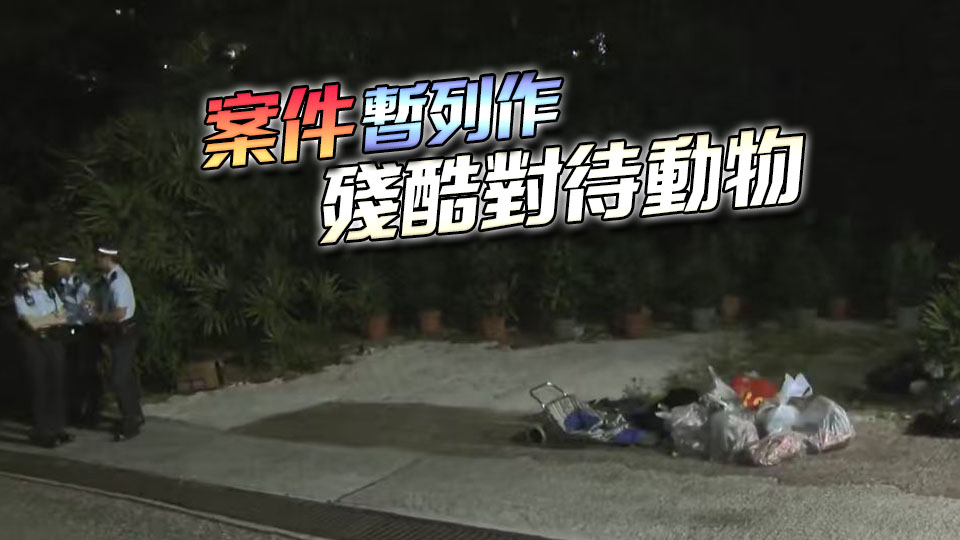 西貢現多袋懷疑野豬屍塊 警正追緝疑犯下落