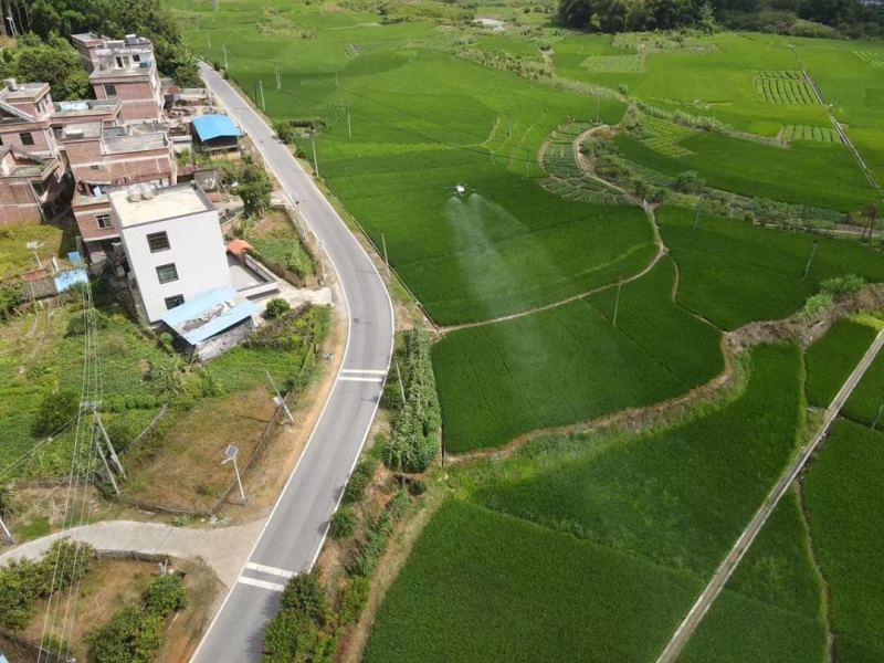 桂梧州長洲區：產業鏈重塑結出「致富果」