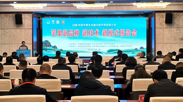 果業升級 蘋果新品種新技術新模式報告會在甘肅慶陽舉行