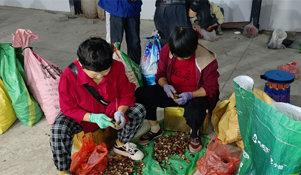 皖黟縣宏潭：共富工坊里的「指尖增收」