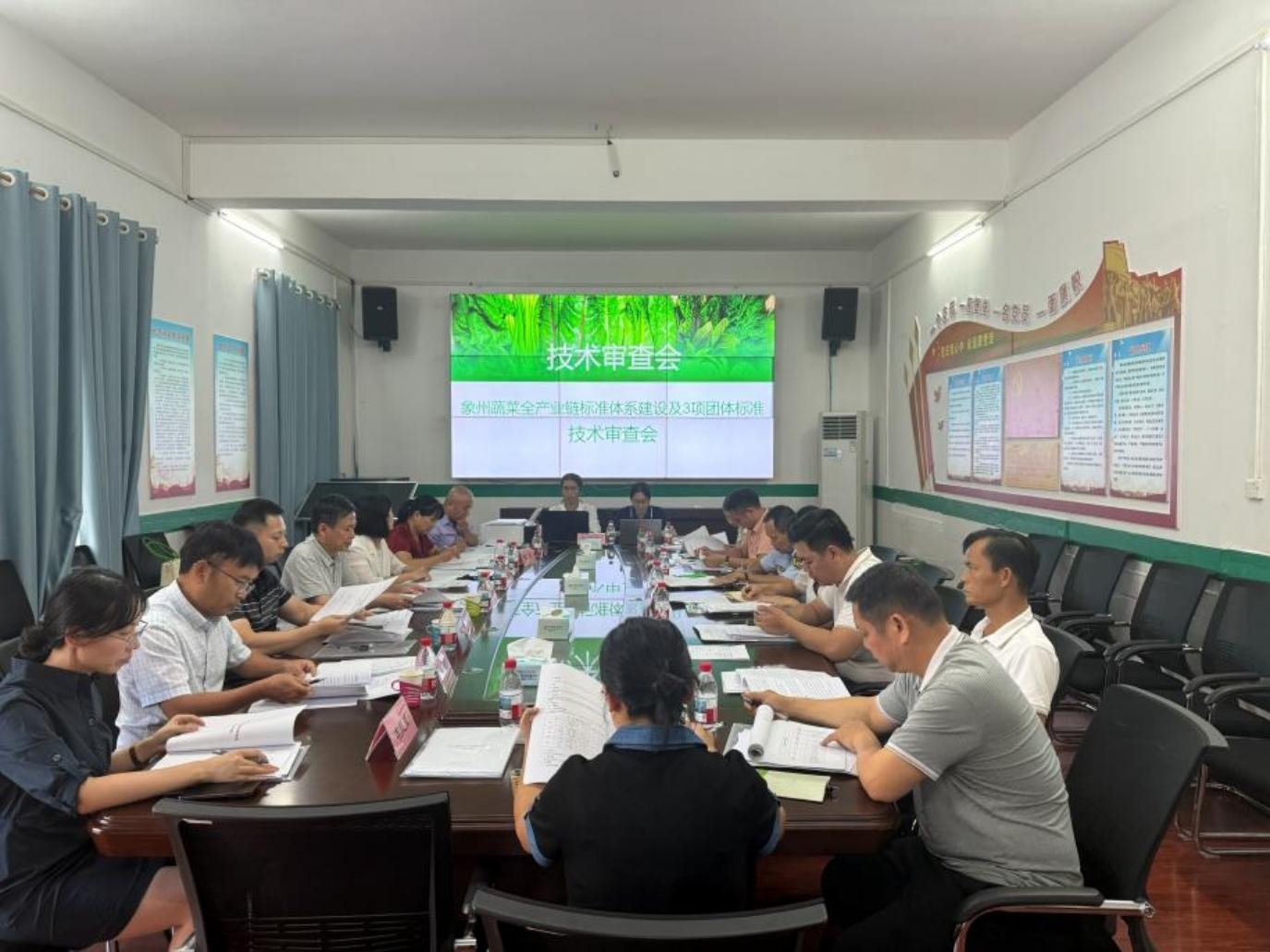 桂象州蔬菜訂「標」立規 瞄準海外市場提質增效