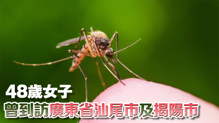 本港新增一宗基孔肯雅熱個案