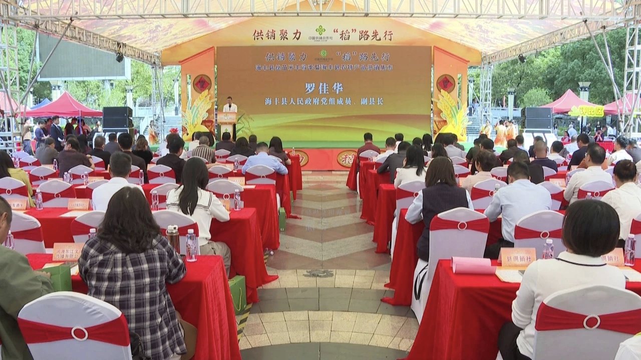 汕尾海豐舉辦絲苗米豐收季暨農特產品供銷集市活動