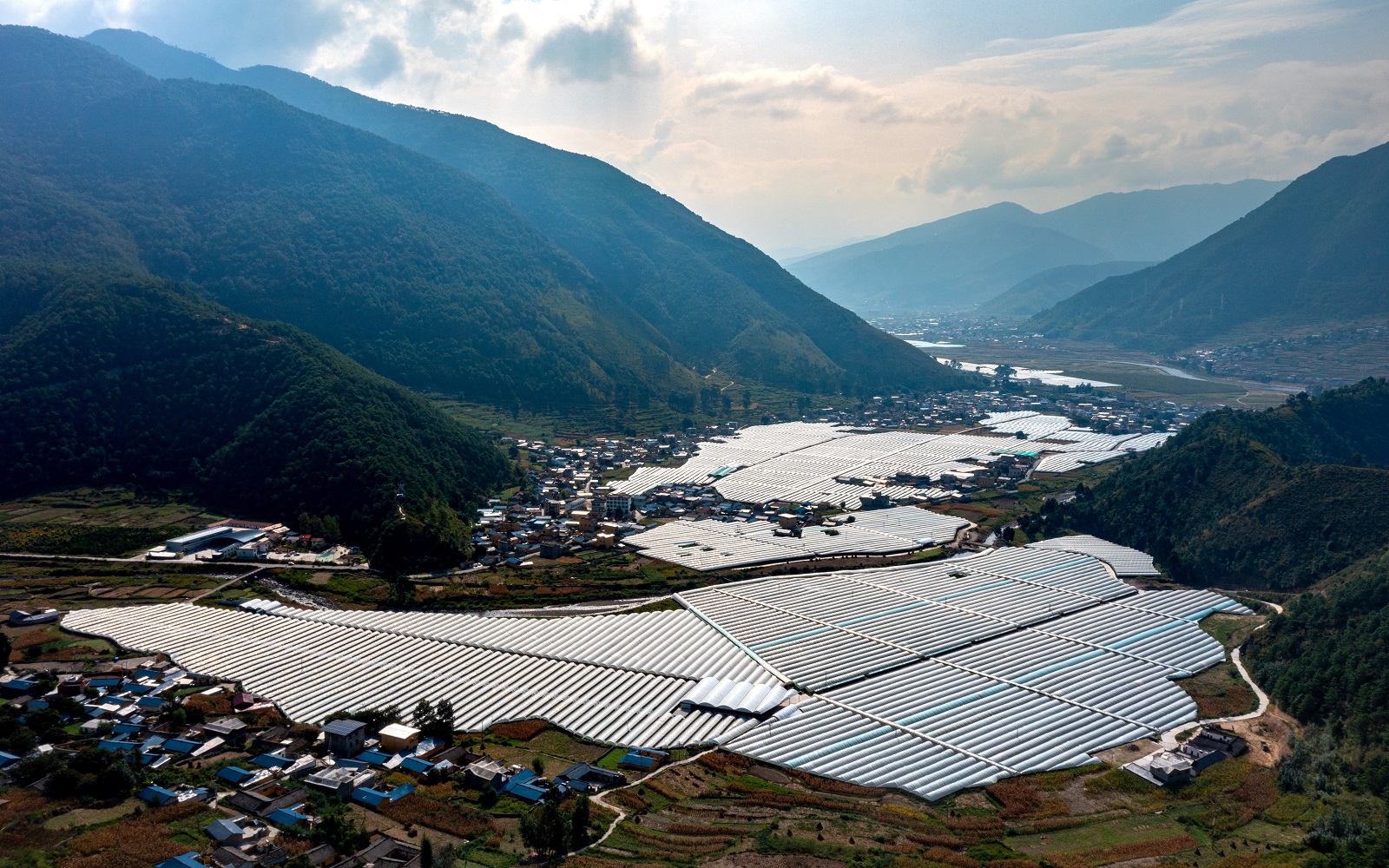 沃土生金產業興  四川什邡幫扶喜德聯農帶農繪新村
