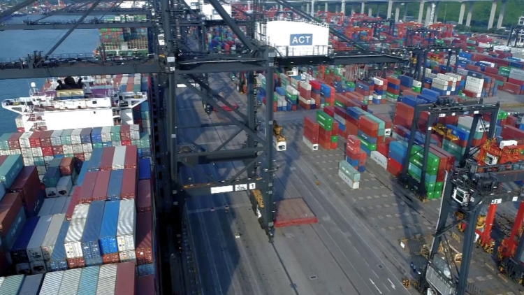 中遠海運港口：前三季度淨利潤同比上升近兩成