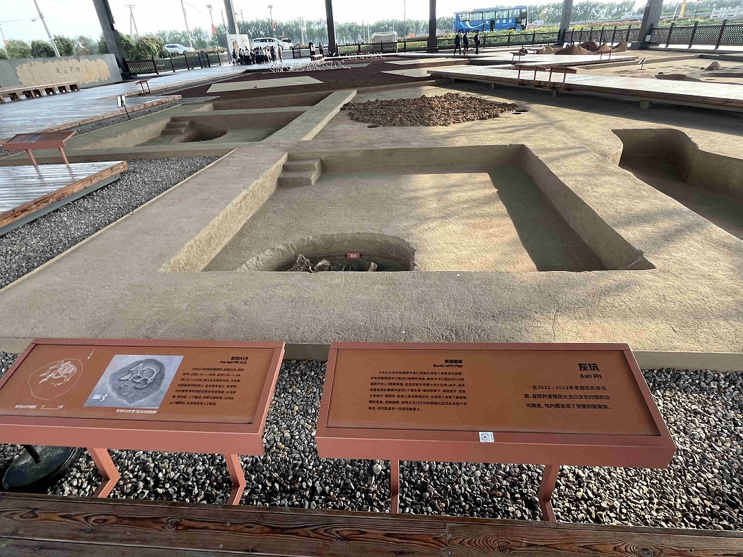 【粵港澳媒體看山東】走進大汶口遺址探尋神秘海岱文明