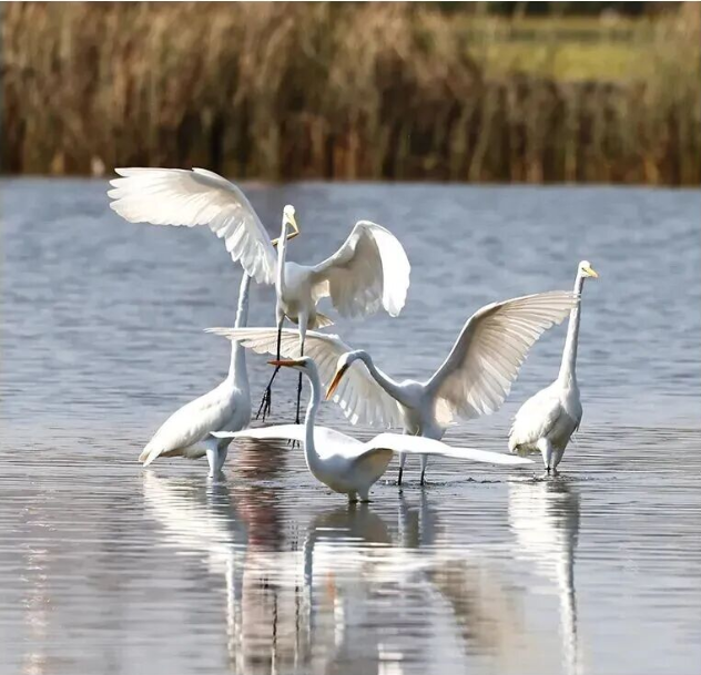 走，一起到海南「追鳥」去！