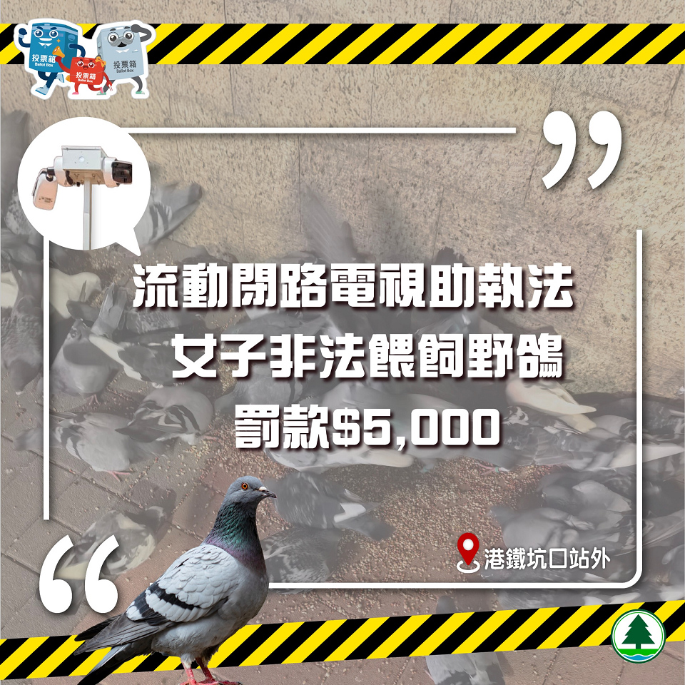 漁護署流動閉路電視助執法 女子涉非法餵飼野鴿收告票