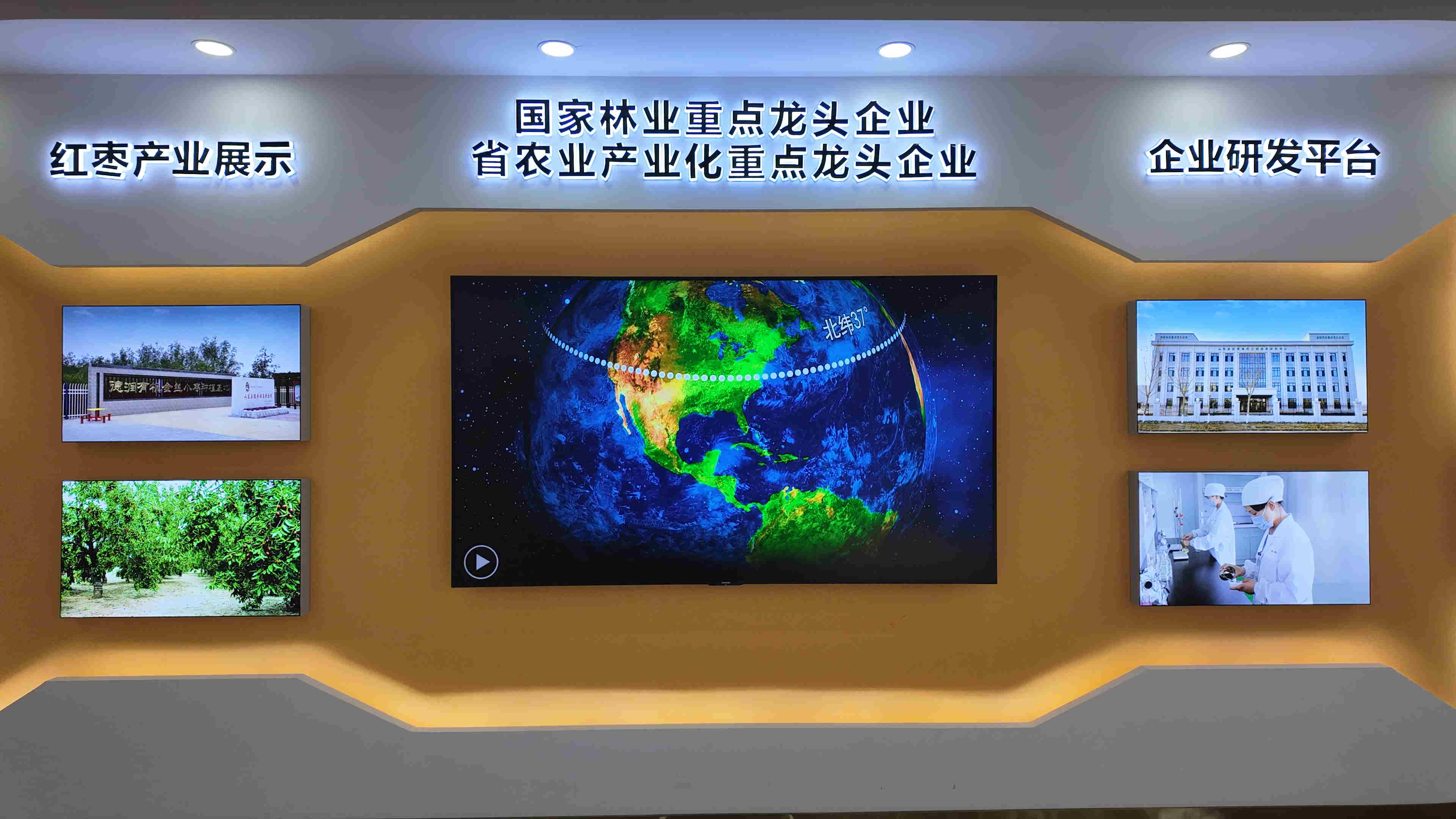 科技「點棗成金」 山東樂陵千年棗業煥新生