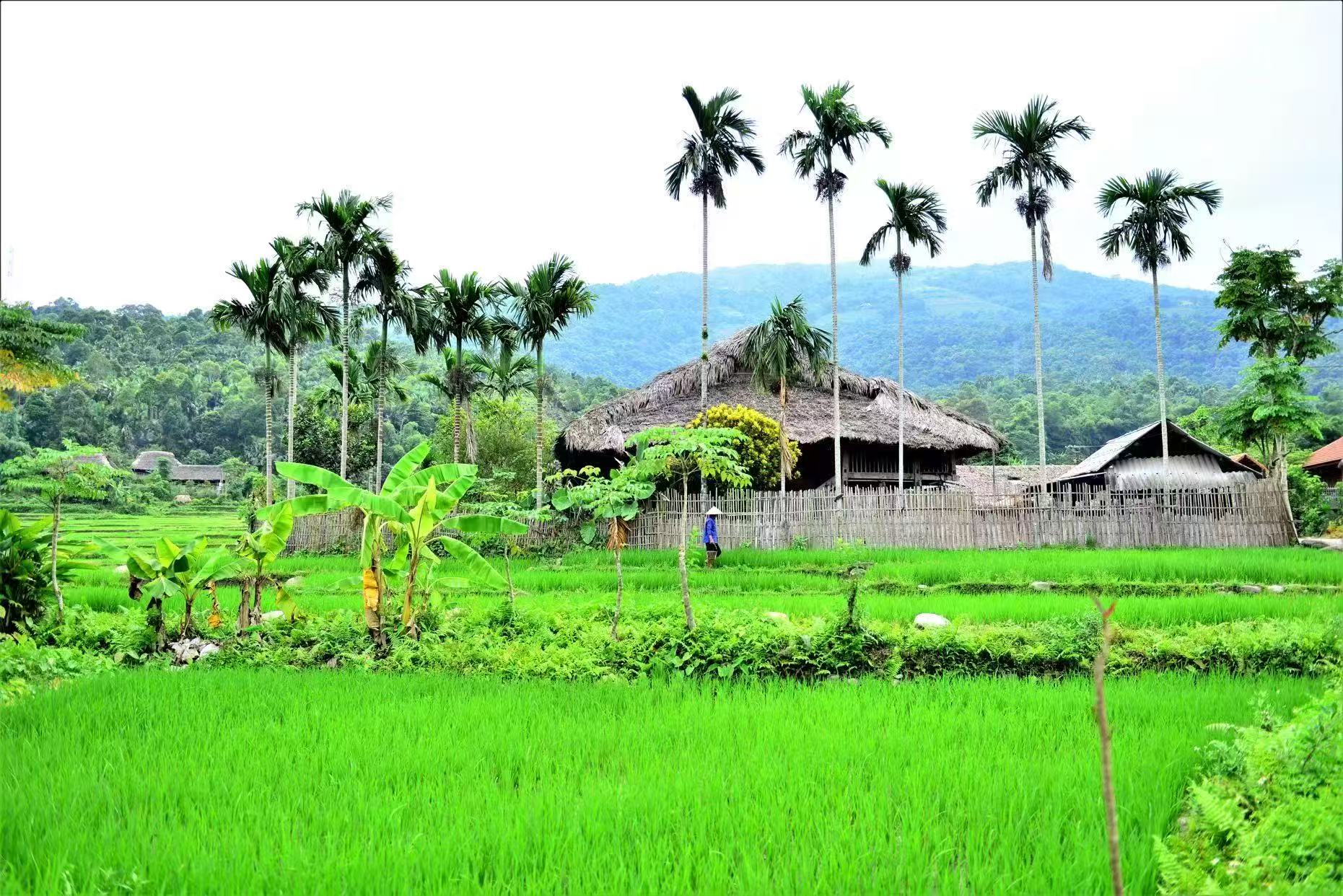 「行走雲南，為愛而行」全國沙龍交流宣傳活動啟幕暨西雙版納推動「農文旅+產學研」深度融合