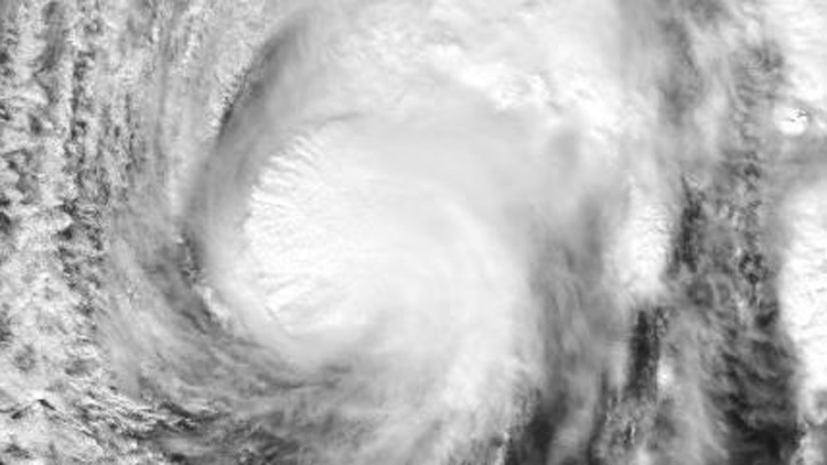 颱風「鳳凰」已進入南海 廣東啟動防風Ⅳ級應急響應