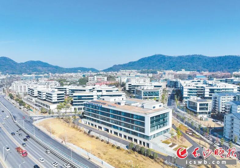 破繭記：長沙大學生創業者的逆襲劇本——青春長沙、機遇之城系列報道之四