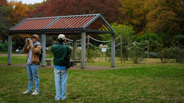 外交部提醒：中國公民近期避免前往日本