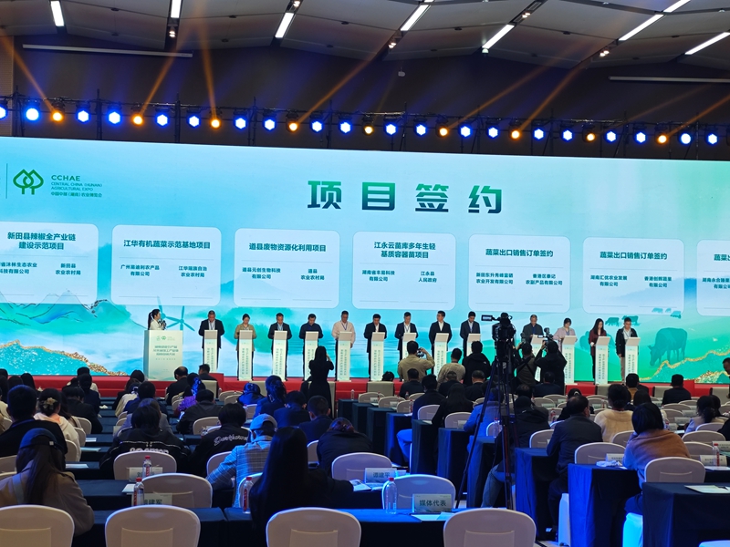 新田縣引進辣椒全產業鏈「旗艦」項目