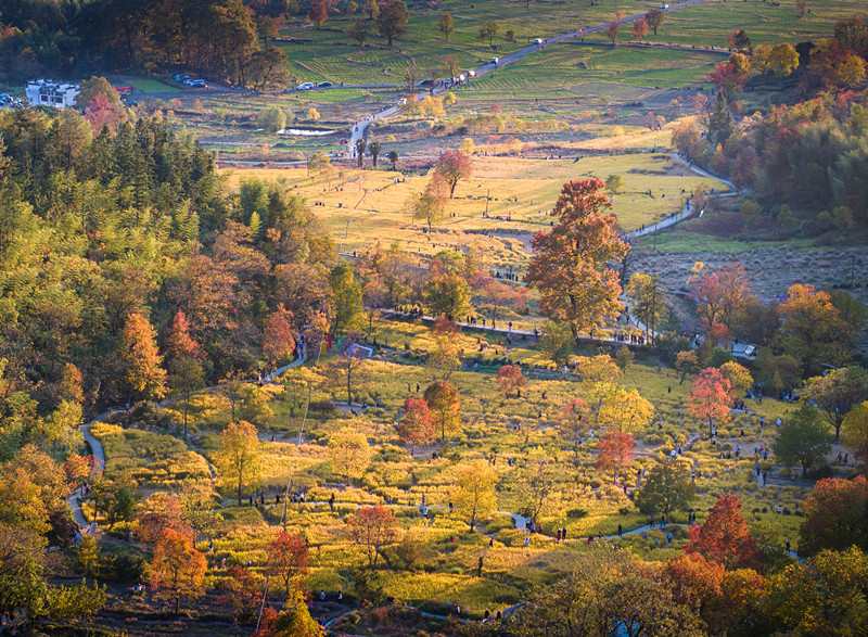 【港商觀察】這場國際文旅盛會何以花落黃山？