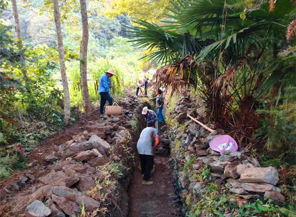 皖黟縣美溪：辦好「民生實事」 提升「幸福指數」