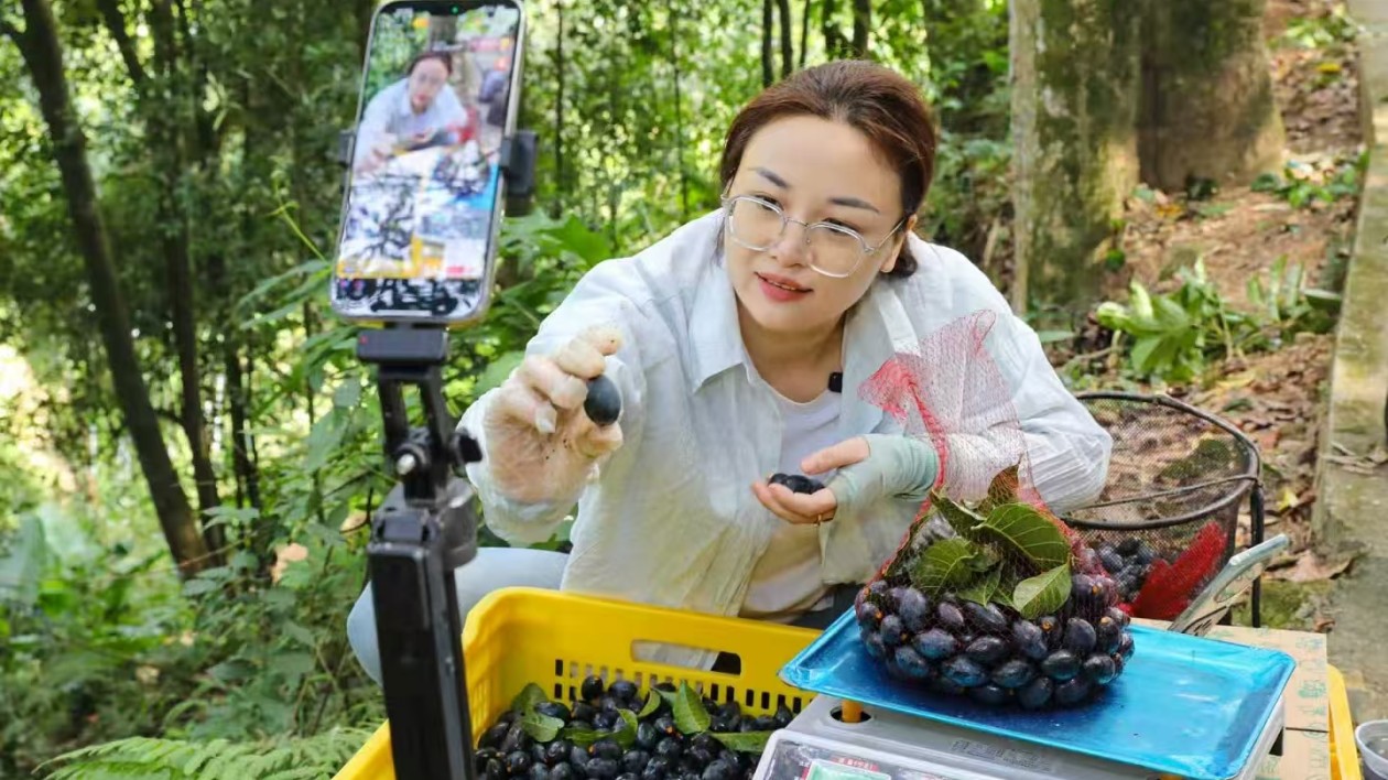 電商直播助力「黑烏欖」 變 「金果果」
