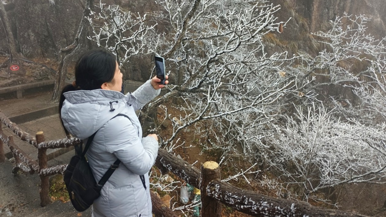 黃山風景區迎來今冬首場霧凇景觀
