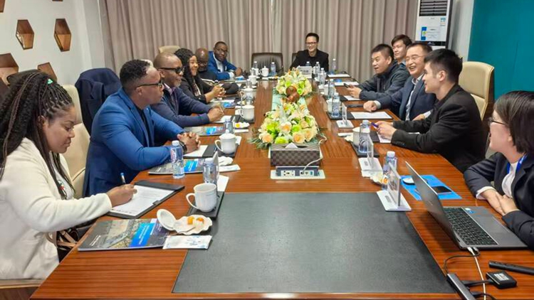 圖集｜從赤道幾內亞貴賓到十五運全景盛宴！看寶安企業如何以硬核實力鏈動世界