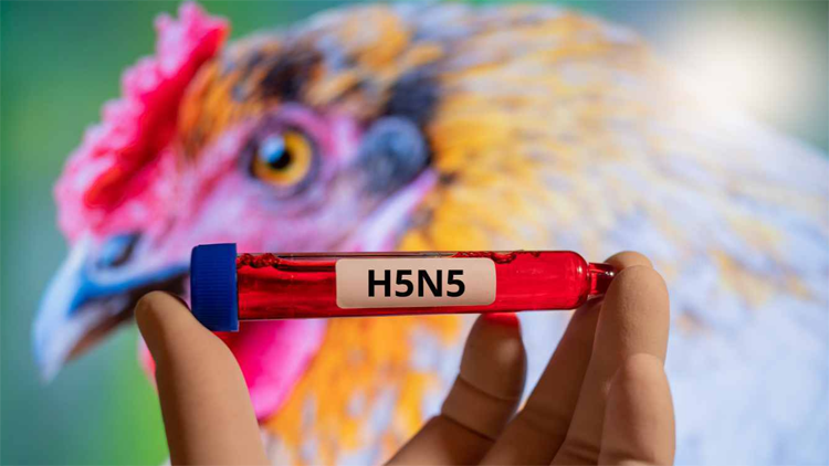 美國報告H5N5型禽流感致人死亡病例 據信為全球首例