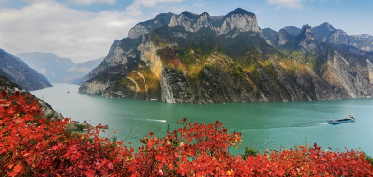 巫山紅葉醉染 邀君入畫三峽