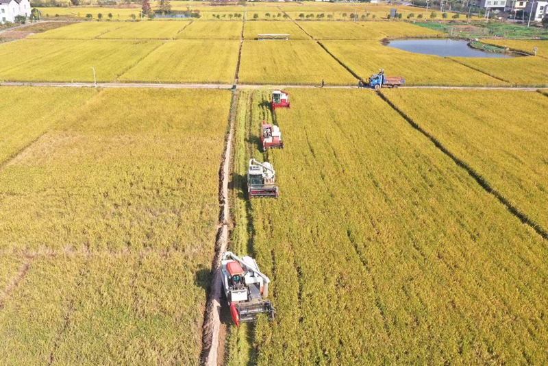 衡陽憑什麼？央視「村莊的味道」為什麼選在衡陽？