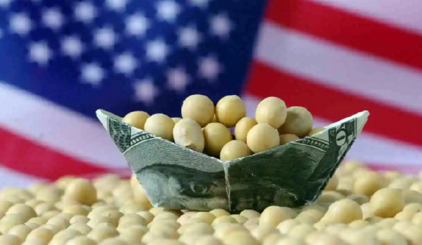 內地傳至少採購十艘船美國大豆 明年1月裝運